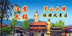 黄带免费在线观看江苏无锡灵山大佛旅游风景区